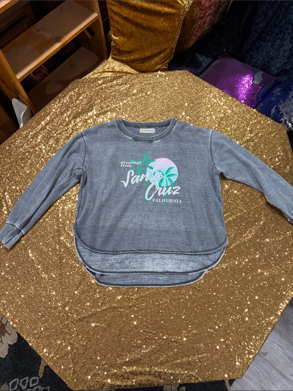 Ocean Drive Gray Santa Cruz Graphic Crewneck